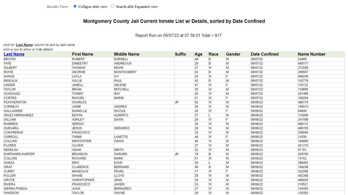 Jail Roster - Montgomery County, Texas